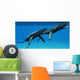 Two Humpback Whales Come Wall Decal
