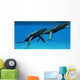 Two Humpback Whales Come Wall Decal