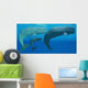 Mother Sperm Whale with Wall Decal