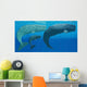 Mother Sperm Whale with Wall Decal