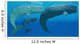 Mother Sperm Whale with Wall Decal