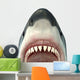 Close-up Great White Shark Wall Decal