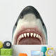 Close-up Great White Shark Wall Decal