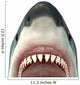 Close-up Great White Shark Wall Decal