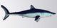 Mako Shark Wall Decal Design 2