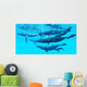 Group Humpback Whales Swimming Wall Decal
