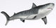 Tiger Shark Profile Wall Decal