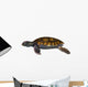 Green Sea Turtle Wall Decal