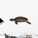 Green Sea Turtle Wall Decal