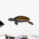 Green Sea Turtle Wall Decal