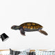 Green Sea Turtle Wall Decal