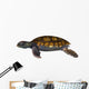 Green Sea Turtle Wall Decal