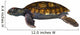Green Sea Turtle Wall Decal