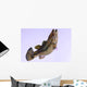 Largemouth Bass Wall Decal Design 2
