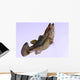 Largemouth Bass Wall Decal Design 2
