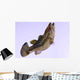 Largemouth Bass Wall Decal Design 2