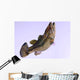 Largemouth Bass Wall Decal Design 2