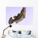 Largemouth Bass Wall Decal Design 2
