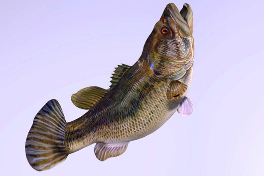 Largemouth Bass Wall Decal Design 2
