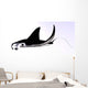 Manta Ray Wall Decal