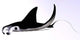 Manta Ray Wall Decal