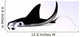 Manta Ray Wall Decal