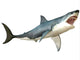 Great White Shark Wall Decal Design 5
