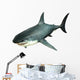 Great White Shark Wall Decal Design 3