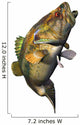 Largemouth Bass Wall Decal Design 1