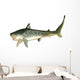 Tiger Shark Wall Decal Design 1
