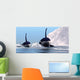 Two Orca Whales Pass Wall Decal