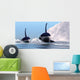 Two Orca Whales Pass Wall Decal