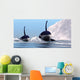 Two Orca Whales Pass Wall Decal