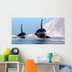 Two Orca Whales Pass Wall Decal