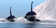 Two Orca Whales Pass Wall Decal