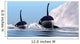 Two Orca Whales Pass Wall Decal