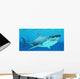 Great White Shark Swimming Wall Decal Design 3
