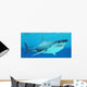 Great White Shark Swimming Wall Decal Design 3