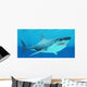 Great White Shark Swimming Wall Decal Design 3
