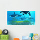Three Killer Whales Pass Wall Decal