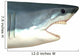 Great White Shark Wall Decal Design 1