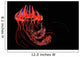 Brightly Colored Jellyfish Illustration Wall Decal Design 2