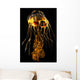 Brightly Colored Jellyfish Illustration Wall Decal Design 1
