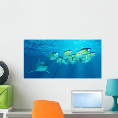 School Yellowfin Tuna Is Wall Decal shown on a wall