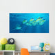 School Yellowfin Tuna Is Wall Decal