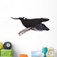 Humpback Whale Illustration White Wall Decal