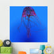 Red Jellyfish Illustration Wall Decal