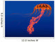 Orange Jellyfish Illustration Wall Decal