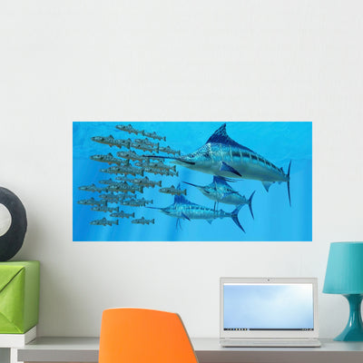 School Amemasu Fish Try Wall Decal shown on a wall