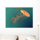 Chrysaora Sea Nettle Jellyfish Wall Decal